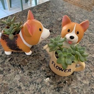 Meet your Posher, Jenn